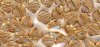 25 Light Colorado Topaz 4mm Bicone Swarovski